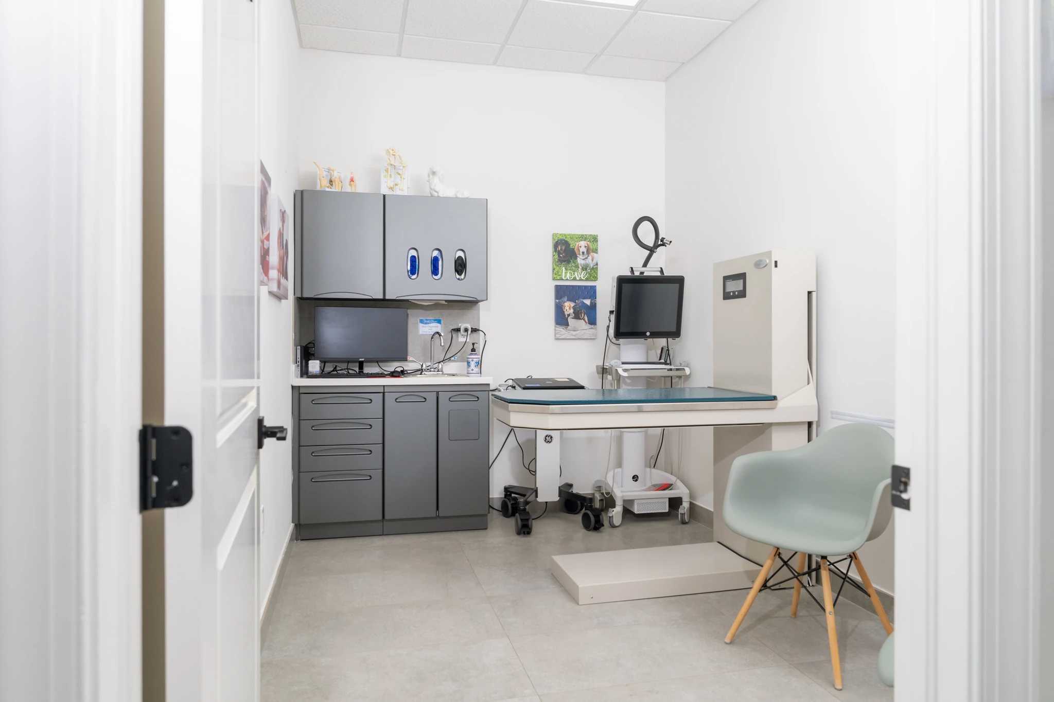 Wellness Exams