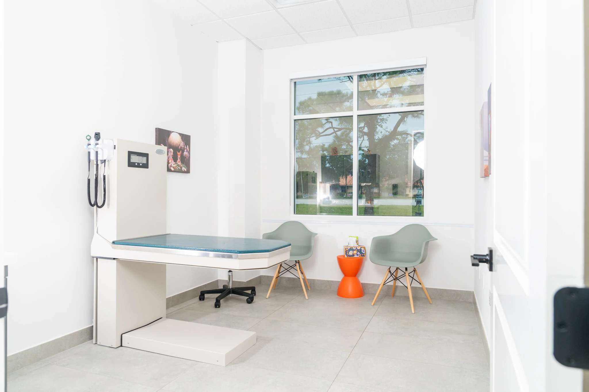 A bright, welcoming exam room
