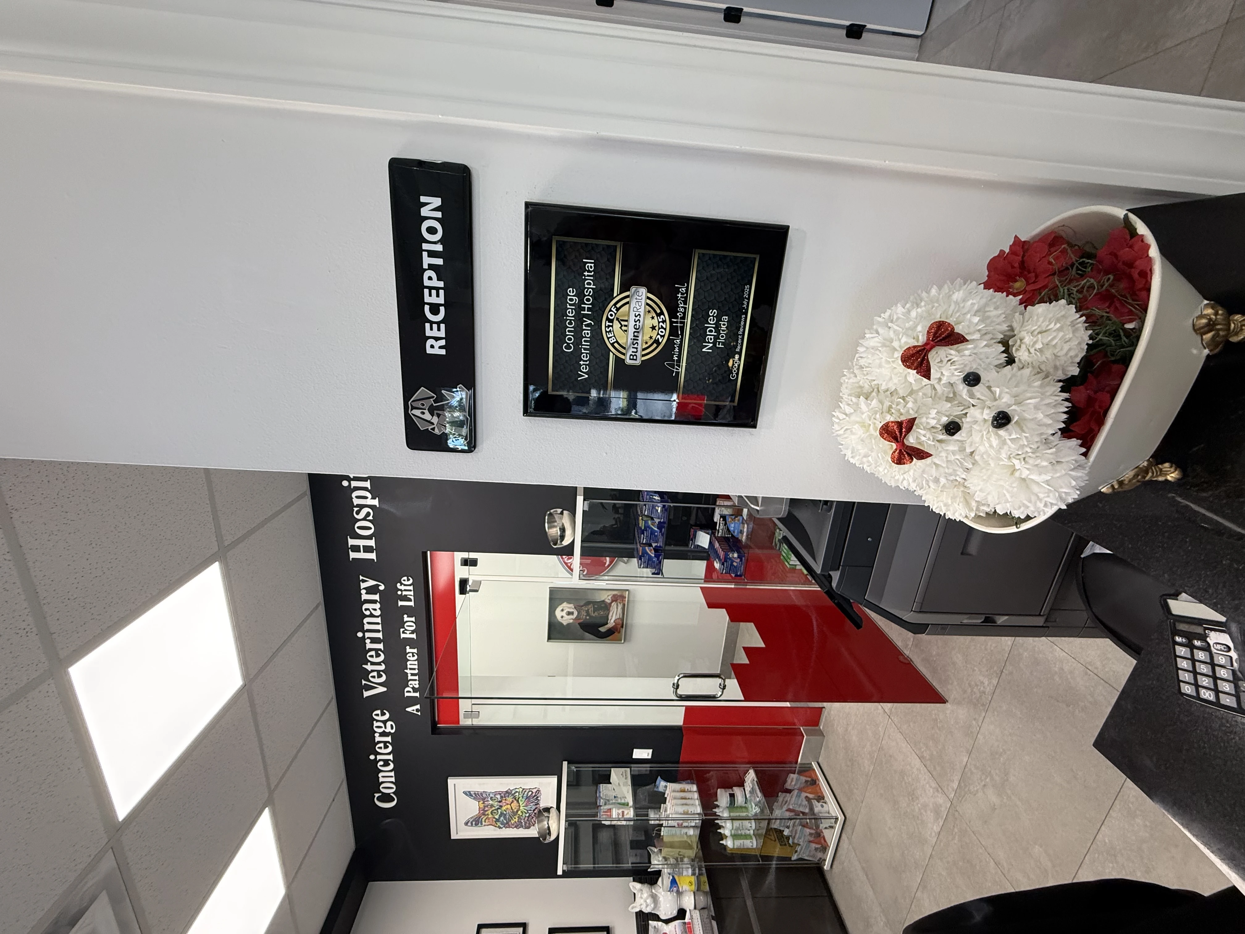 Reception and welcome area