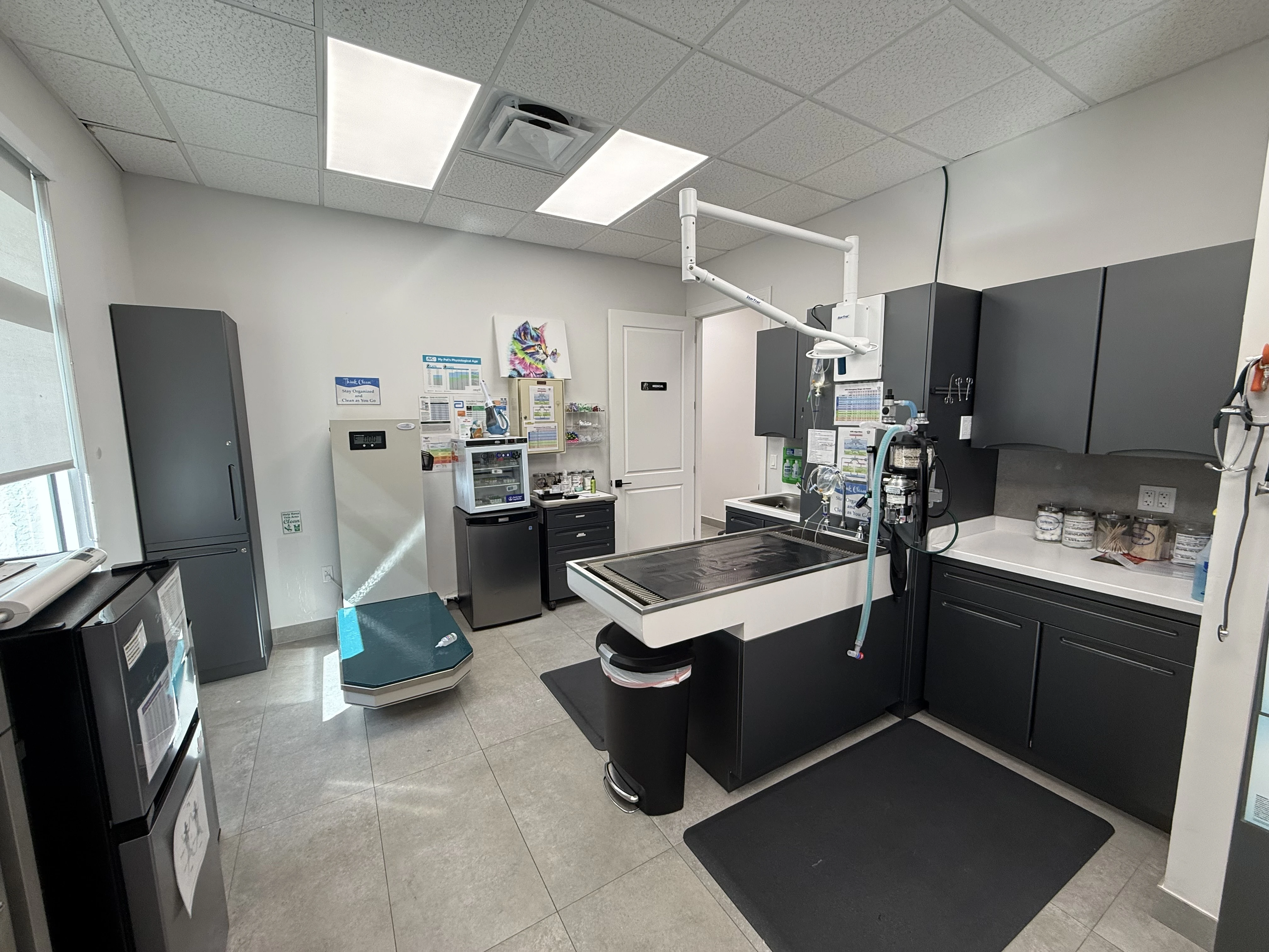 Treatment & nurse station