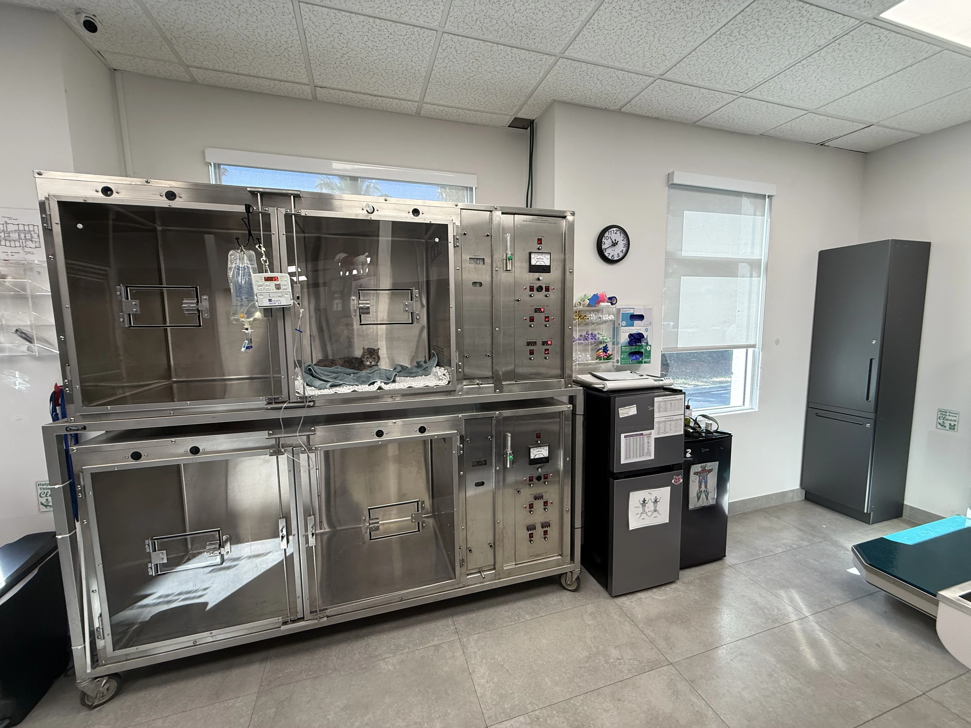 ICU recovery cages